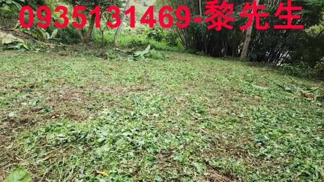 新竹橫山農地-15