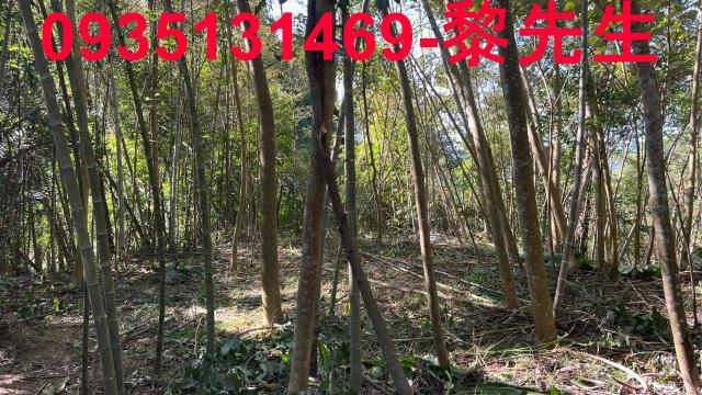 新竹橫山農地-4