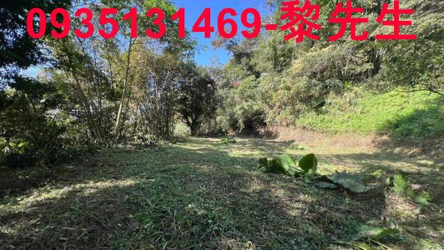 新竹橫山農地-1