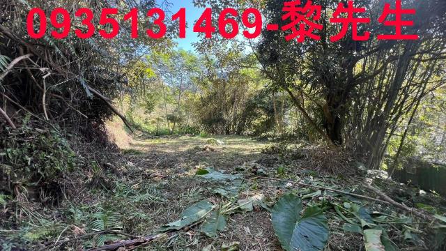 新竹橫山農地-5