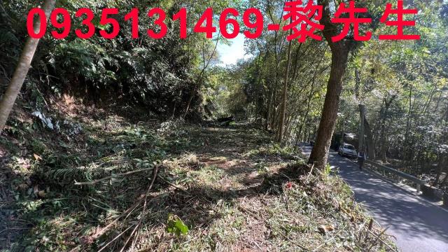 新竹橫山農地-6