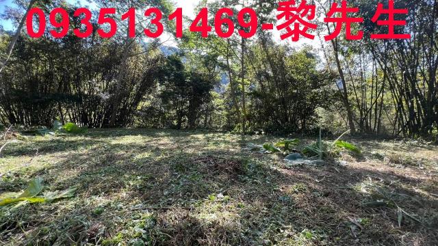 新竹橫山農地-8