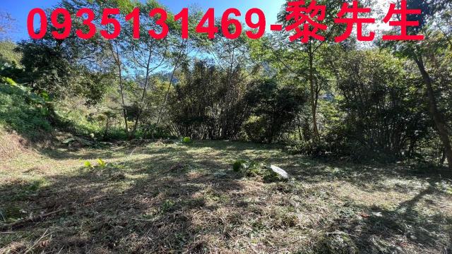 新竹橫山農地-9