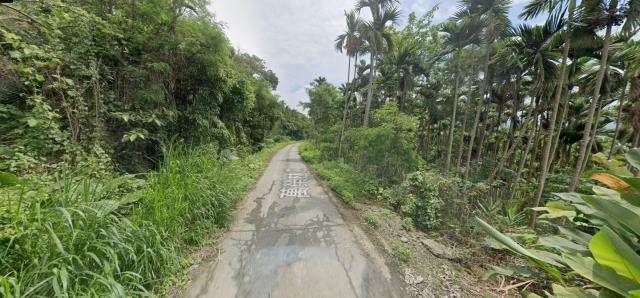 花蓮農地拍賣-1