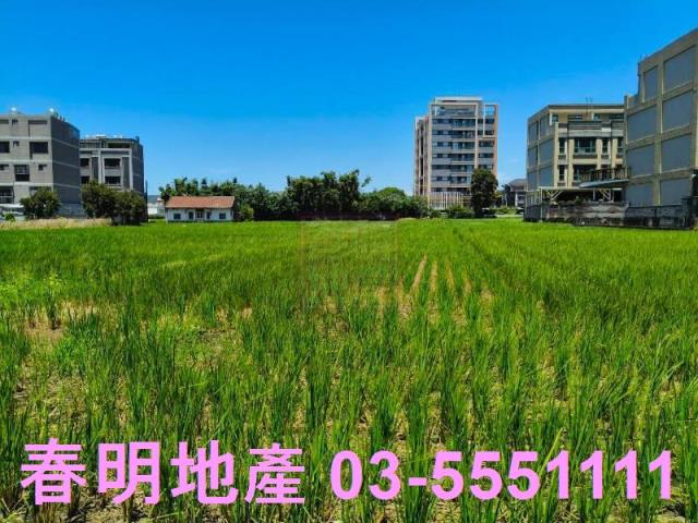 新竹竹北農地-3