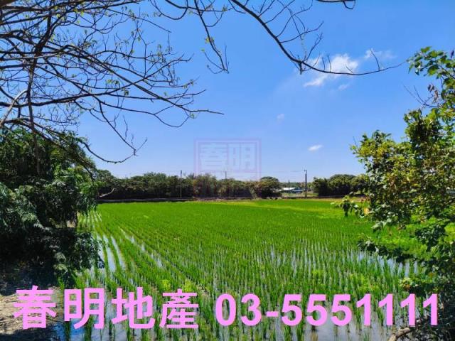 新竹竹北農地-4