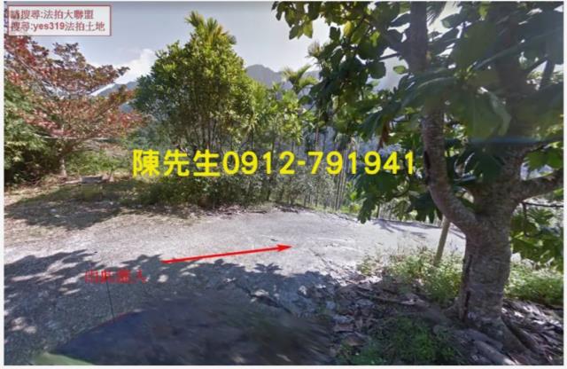 花蓮玉里農地法拍-2