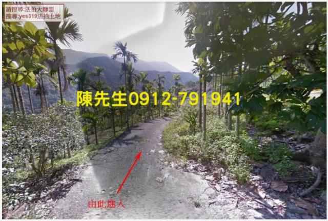 花蓮玉里農地法拍-9