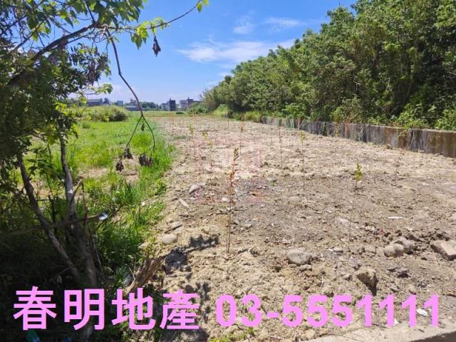 新竹竹北農地-4