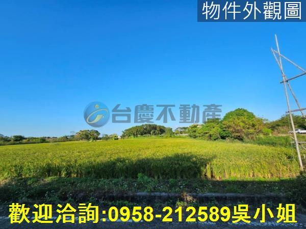 新竹農地-3