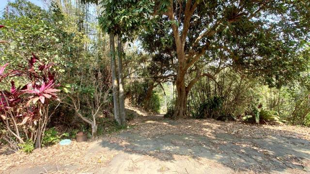 新竹寶山農地-15