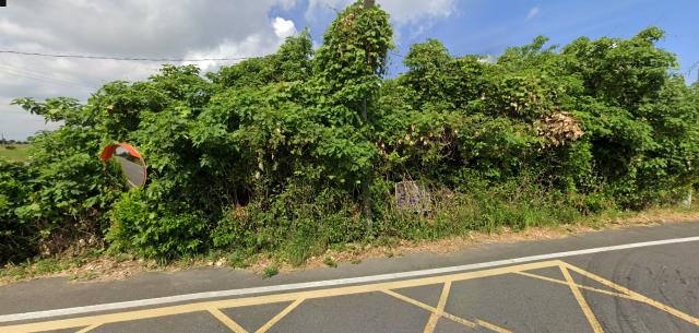 台南殯葬用地法拍-8