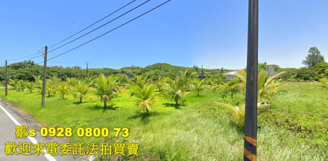 台東台東市農地法拍-9