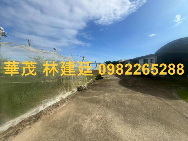 玉井法拍農地-1