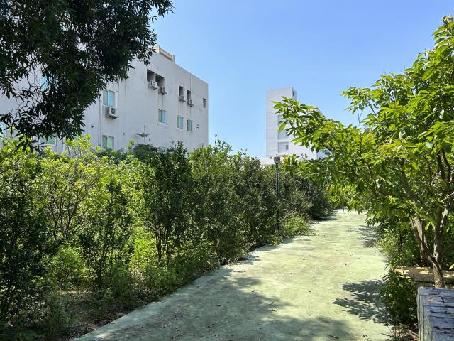 苗栗竹南工業地-1