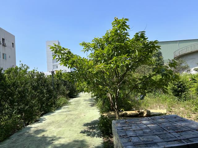 苗栗竹南工業地-2