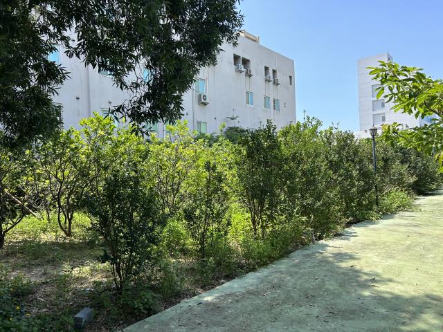 苗栗竹南工業地-3