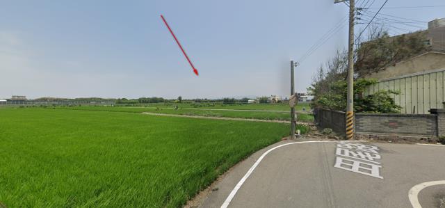 大安區法拍農地-9