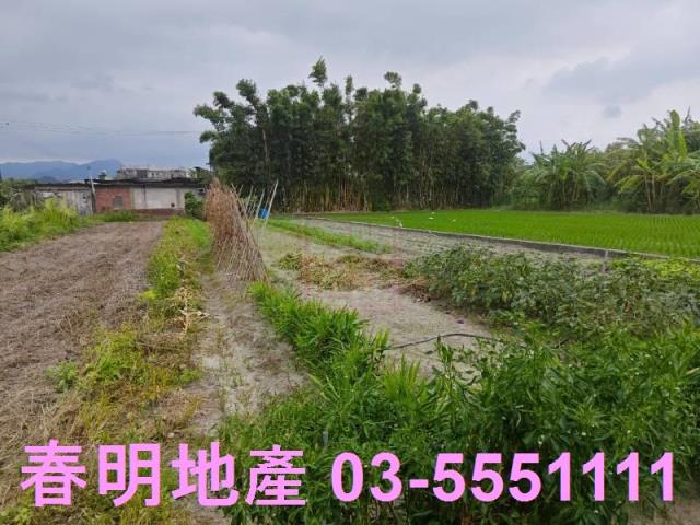 新竹芎林農地-3