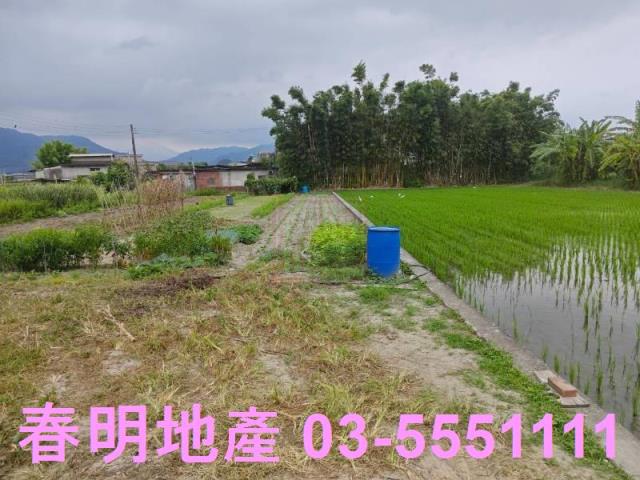 新竹芎林農地-4