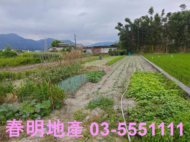 新竹芎林農地-5