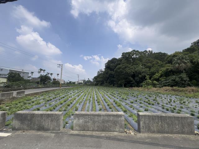 苗栗公館農地-2