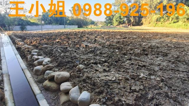 桃園農地-3