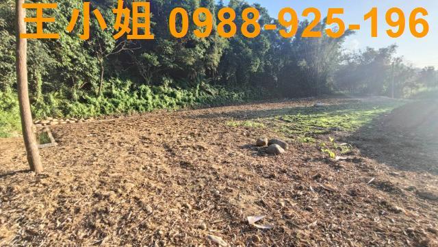 桃園農地-5