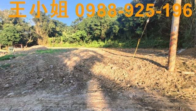 桃園農地-6