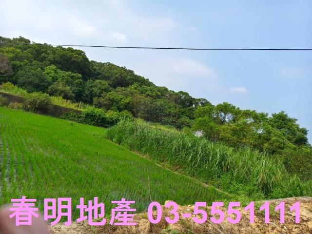 香山農地-2