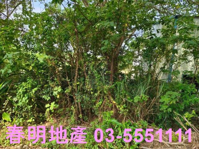 香山農地-3