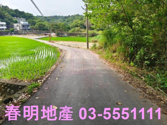 香山農地-4