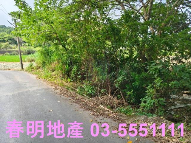 香山農地-5