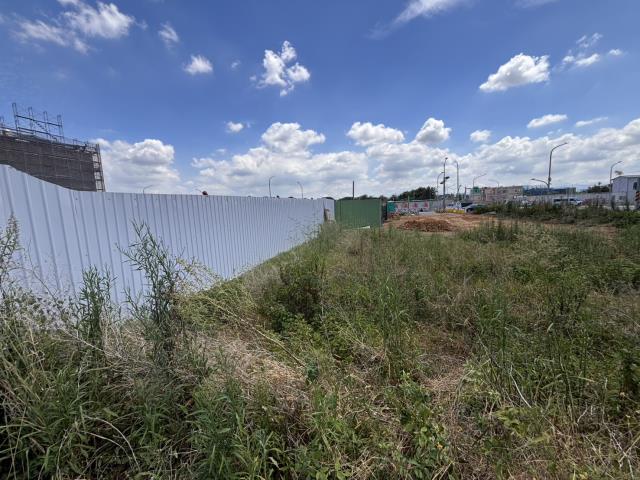 大園建地-4
