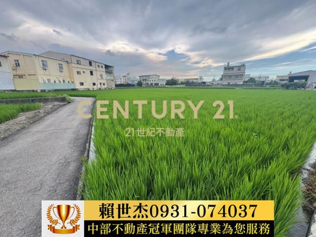 台中農地-4