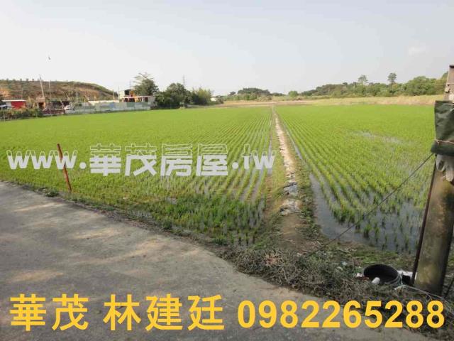 關廟農地法拍-4