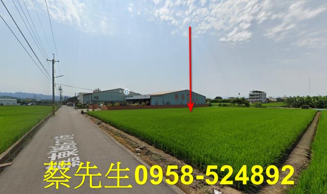 芬園農地拍賣-14