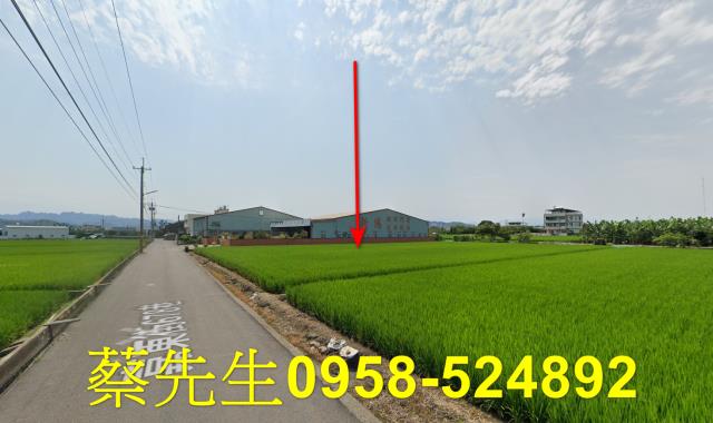 芬園農地拍賣-15