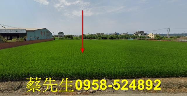 芬園農地拍賣-1