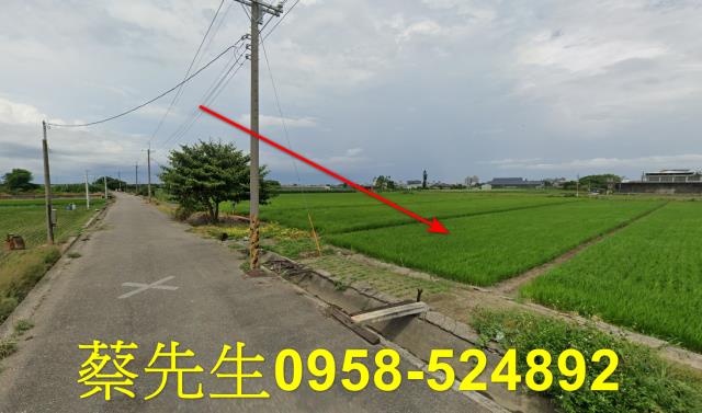 雲林法拍農地-4