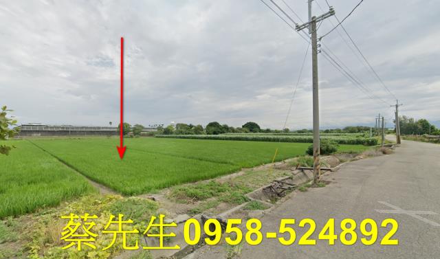 雲林法拍農地-6