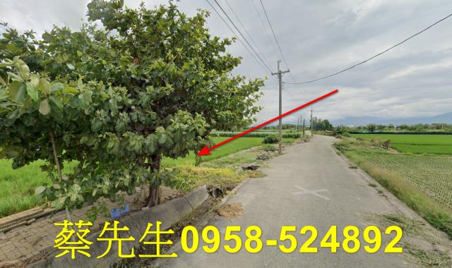 雲林法拍農地-7