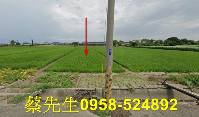 雲林法拍農地-9