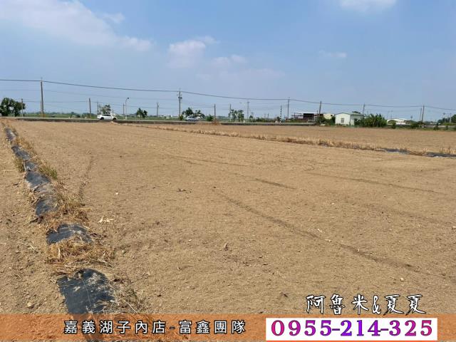 嘉義農地-7