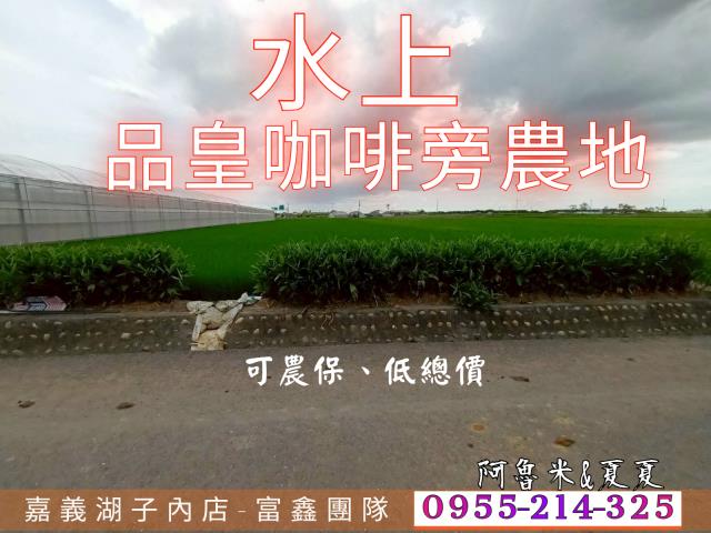 嘉義水上農地-1