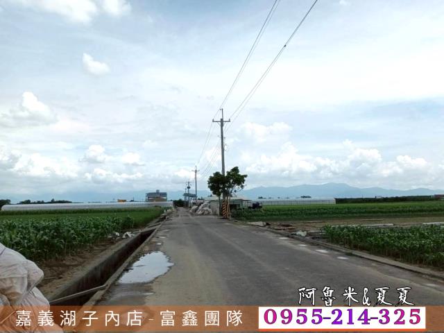 嘉義水上農地-2