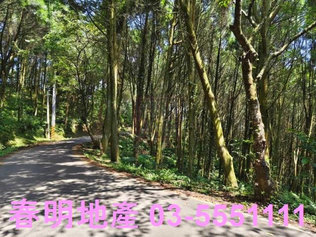 新竹橫山農地-12