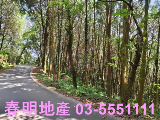 新竹橫山農地-1