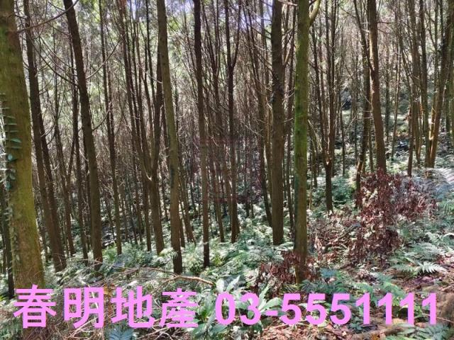 新竹橫山農地-7