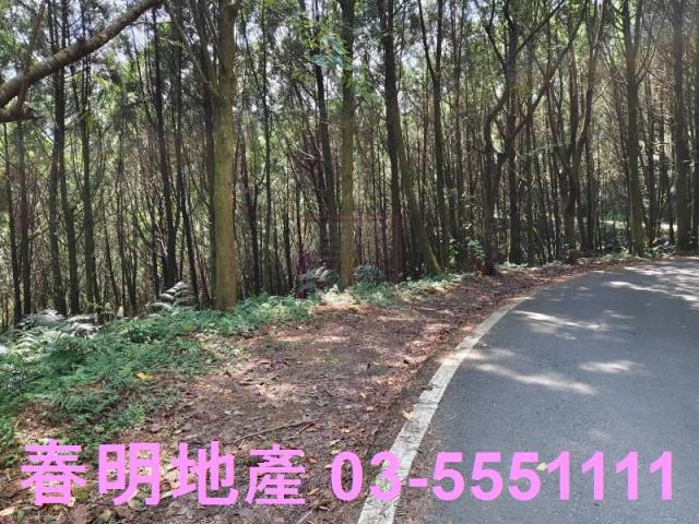 新竹橫山農地-8